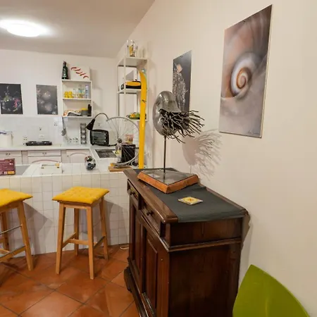 I Relitti Del Conero San Pellegrino (Marche)